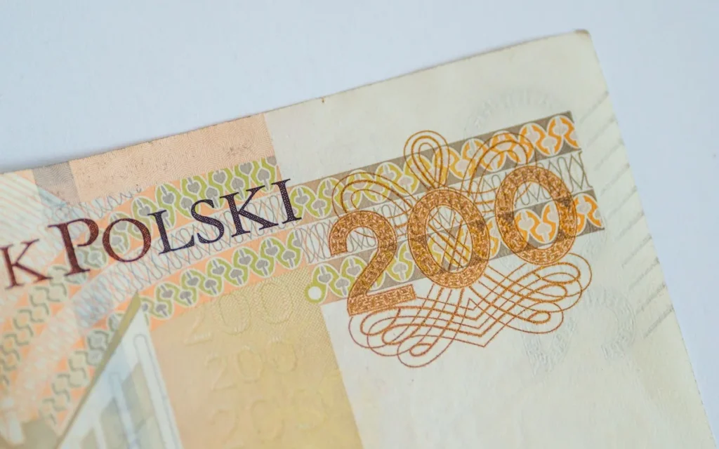 Bezpieczeństwo rachunku PPK i ważne zastrzeżenia finansowe