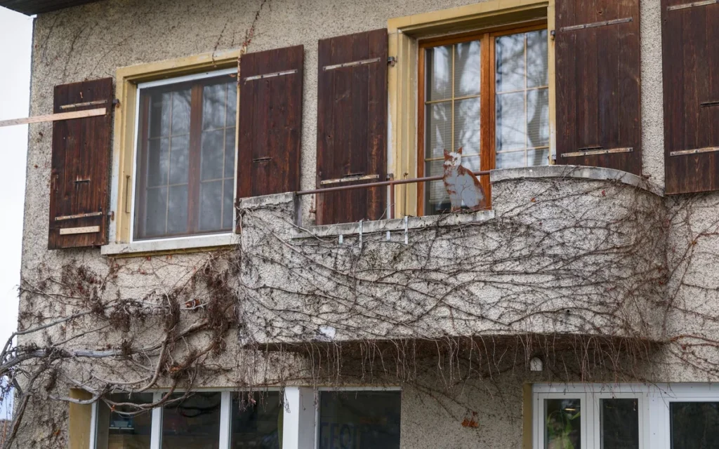 Deszczówka na balkonie i w ogrodzie - do czego jej używać?