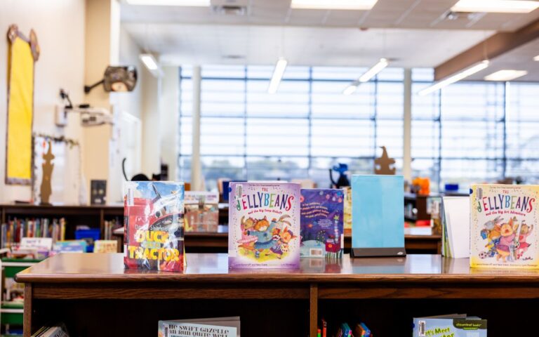 Vibrant children's books displayed in a well-lit library setting, ideal for educational themes.