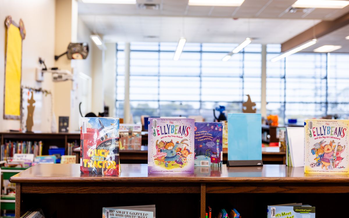Vibrant children's books displayed in a well-lit library setting, ideal for educational themes.