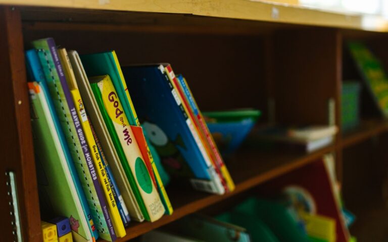 A vibrant collection of children's books neatly arranged on a wooden shelf.
