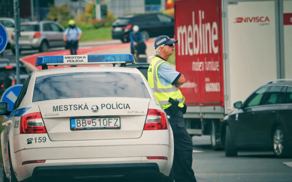 Obowiązki zarządcy i mieszkańca przy szczurach w bloku